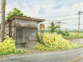 「菜の花にかこまれて」