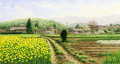 「菜の花の咲く小径」
